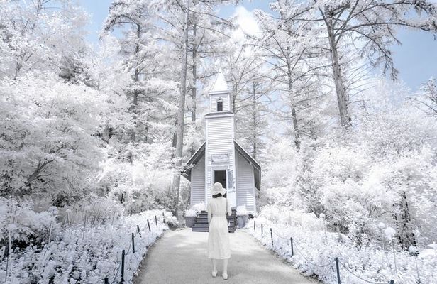 Eobi Ice Valley, Nami Island, Morning Calm and Rail Bike Seoul