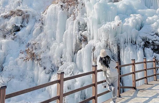 Eobi Ice Valley, Nami Island, Petite France and Morning Calm Tour