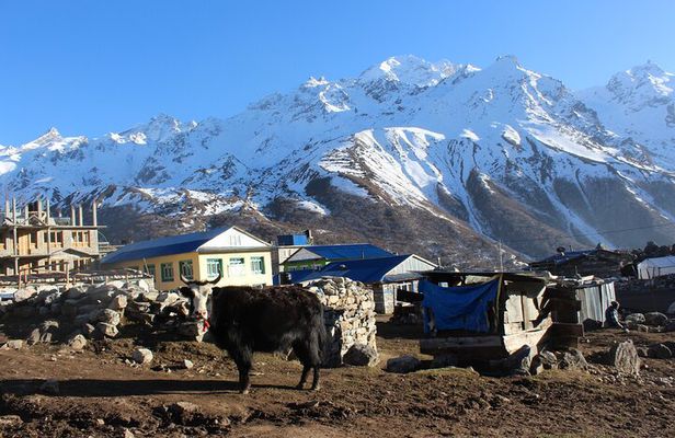 Langtang Valley Trek – 8 Days Adventure from Kathmandu