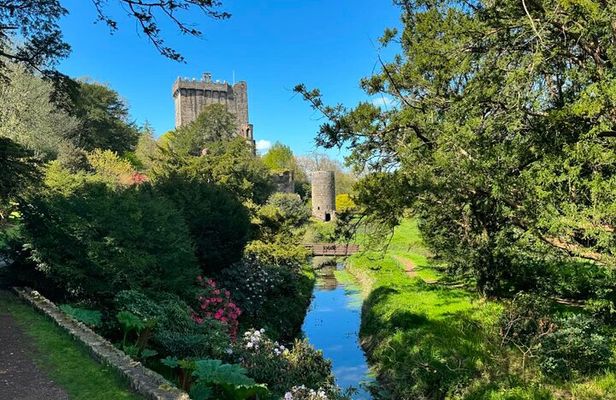 Award-Winning Blarney, Kinsale and Cobh Luxury Private Tour