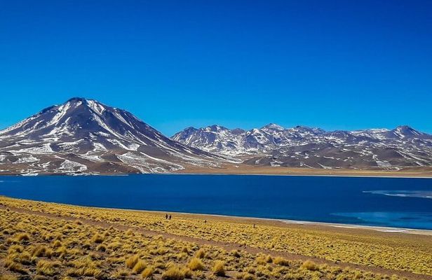 Red Stones, Altiplanic Lagoons and the Atacama Salt Flat