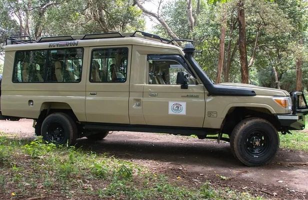 Safari Tour by Jeep to Amboseli National Park