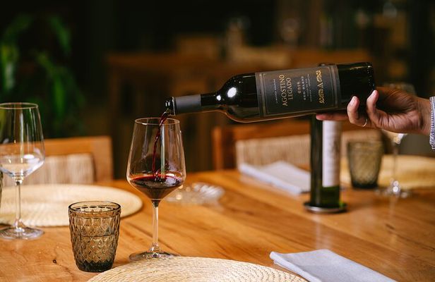 Full day tour in Maipu: Winery and Lunch Tour