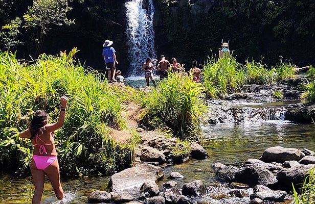 Halfway to Hana Private Tour Maui BlackBeach Waterfalls Turtles