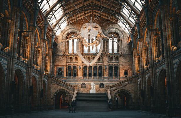 Natural History Museum Walking Guided Tour of London