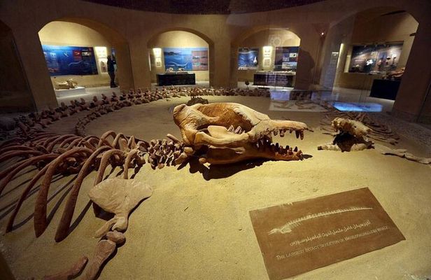 Guided tour to Valley Of The Whales From Cairo