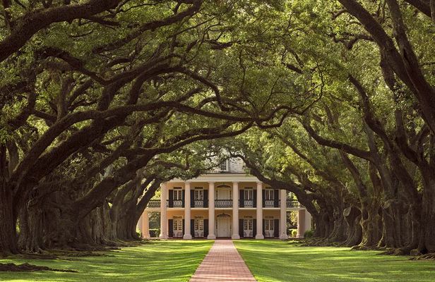Oak Alley Plantation Half Day Tour