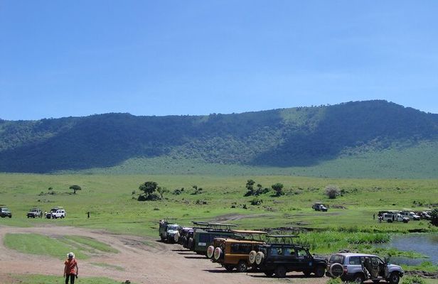3 Day Private Serengeti National Park Tour from Zanzibar by Plane