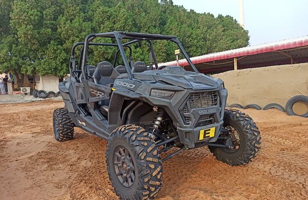 Desert Safari with Camel Ride, Dune Bashing with BBQ Dinner shows