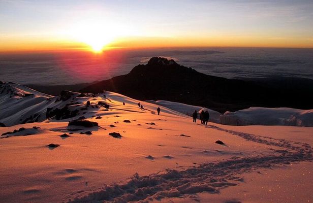 7 Days Private Machame Route Mountain Kilimanjaro Climbing