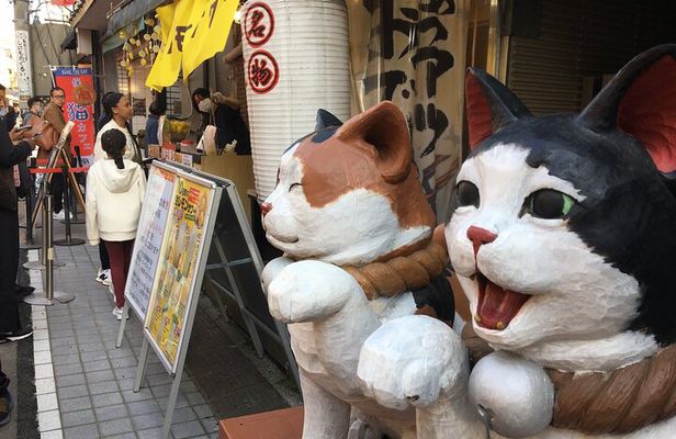 Private Home Visit Style Tour in Yanaka with Local Experience