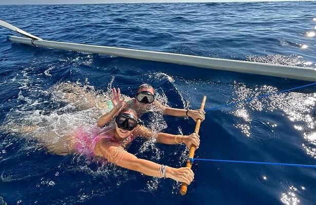 Dolphin Watching Tour, Swimming with Dolphins and Snorkeling 
