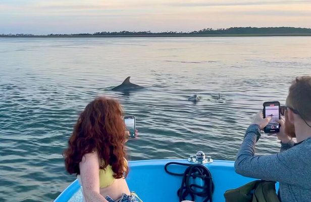 Morris Island Dolphin Cruise and Shelling Trip