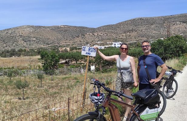 Electric Bike Tour Around the Upper Valley