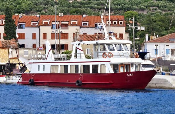 Fd boat-trip Medulin - Blue cave - Cres + lunch + dolphin search