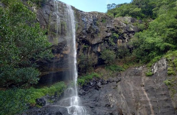 7 Cascades Half-day Hike Tamarind Falls 