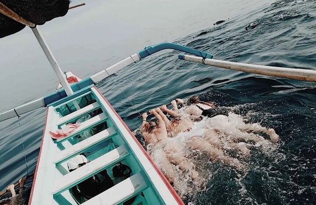 Lovina Dolphin watching and swimming with Dolphin
