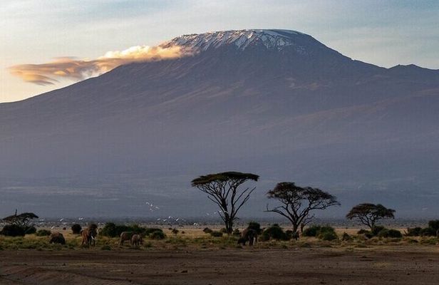 6 Days Private Tour of Masai Mara Lake Nakuru and Amboseli Safari