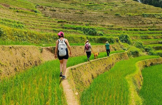 2 Days 1 Night Discovery of Mu Cang Chai