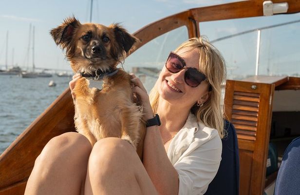 Spend the Day on Buzzards Bay - Powerboat Cruises