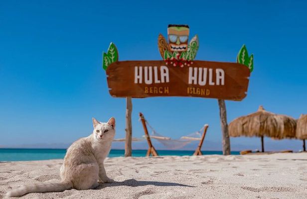 Hula Hula island Snorkeling Sea Trip, Lunch, Water Sport-Hurghada