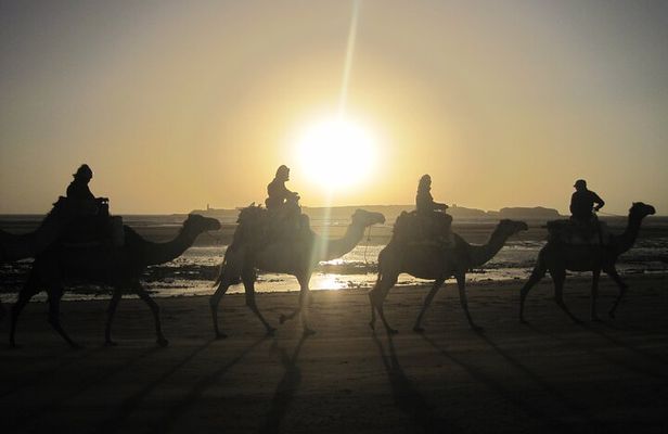 1 Hour Dromedary Ride near Essaouira, Morocco