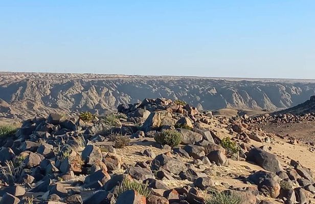 Welwitschia Exclusive Tour in the Moonlandscape, Swakopmund