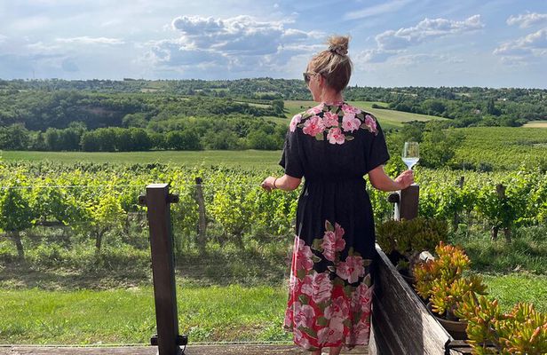 Sremski Karlovci Tour A Journey Through Vineyards and Winery