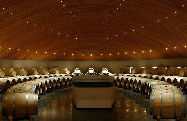 Clos Apalta and VIK Winery Private Experience with Lunch