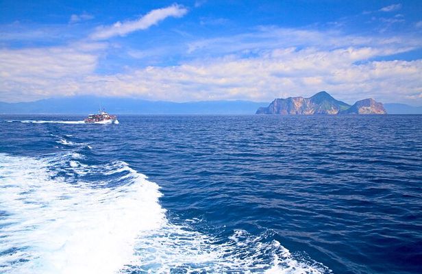 Yilan Whale Watching and Animal Farm Private Tour from Taipei