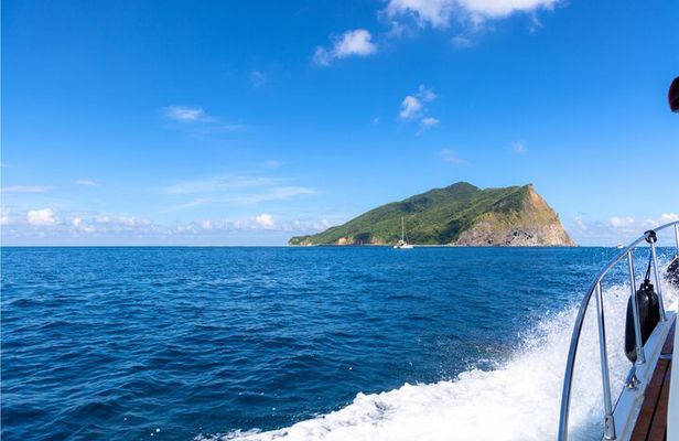 Yilan Day Tour Whale Watching Cruise and Animal Farm