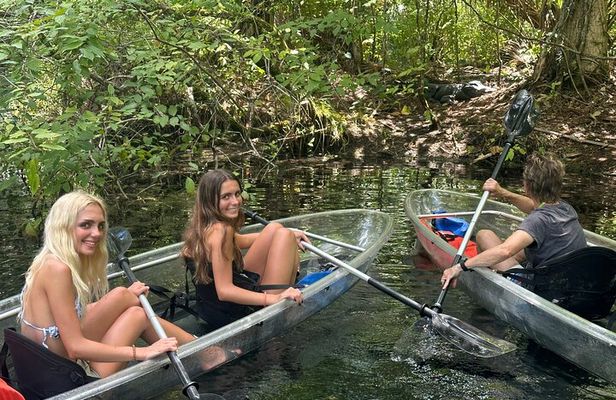 Gator Viewing Clear Kayak Springs Tour