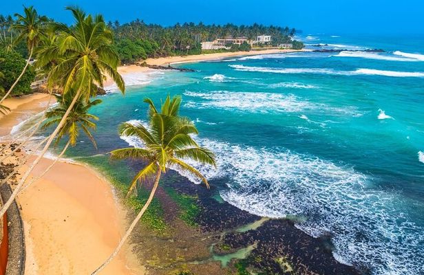 Colombo to Galle All Inclusive Private Day Tour