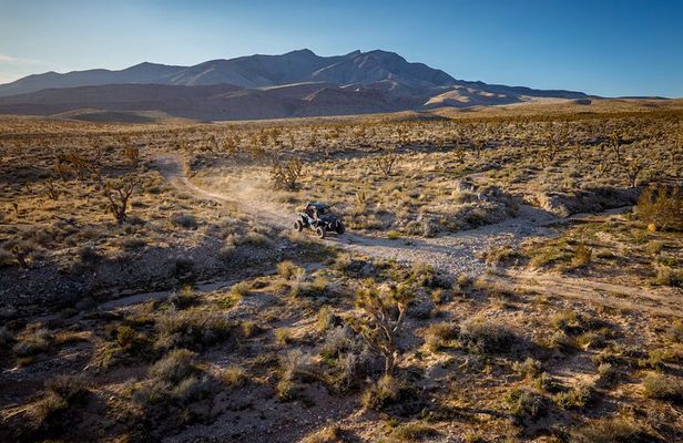 Pioneer Desert Adventure at the Historic Pioneer Saloon!