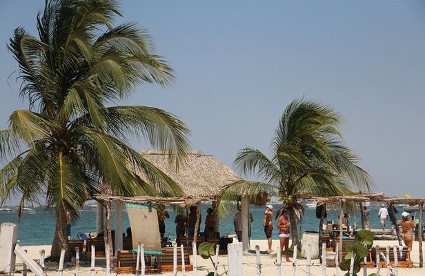 Fenix Beach Day Excursion