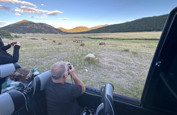 Ruttin Elk Mating Tour on Rocky Mountain National Park