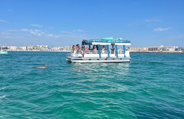 One Hour Harbor Shared Tour with Dolphin Watching
