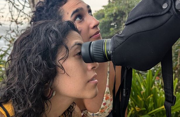 Puerto Viejo's walking tour: Sloth spoting guaranteed