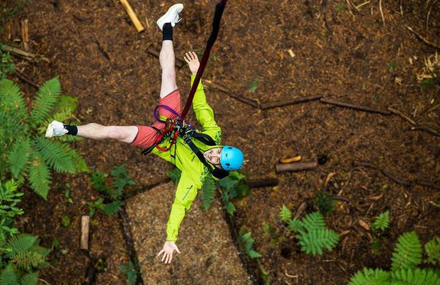 2 Hours Guided Redwoods Altitude Experience