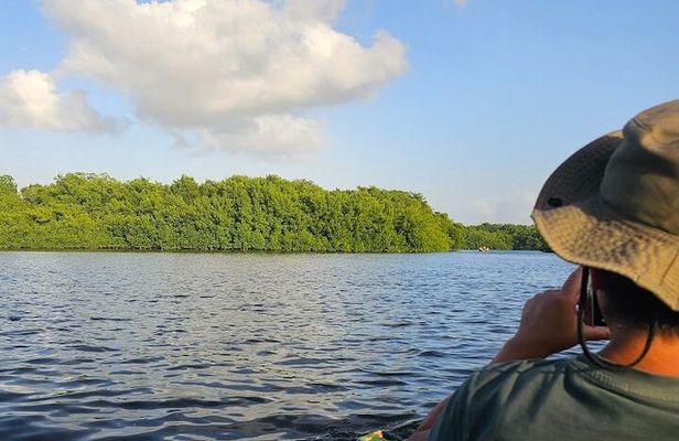 Basking in Nature during a Caroni Bird Sancturary Tour