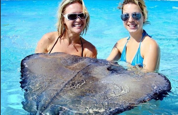 Stingray Adventure And Long Bay Beach