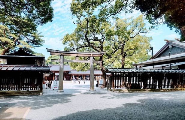 Private Day Tour of Tokyo Shrine for Oharai Yakubarai 
