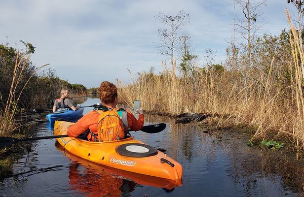 Okefenokee Swamp: Guided Kayak Tour with a Local Naturalist