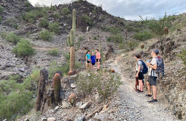 Family Fun Guided Hike in Phoenix, Arizona | Kids 10 & under free