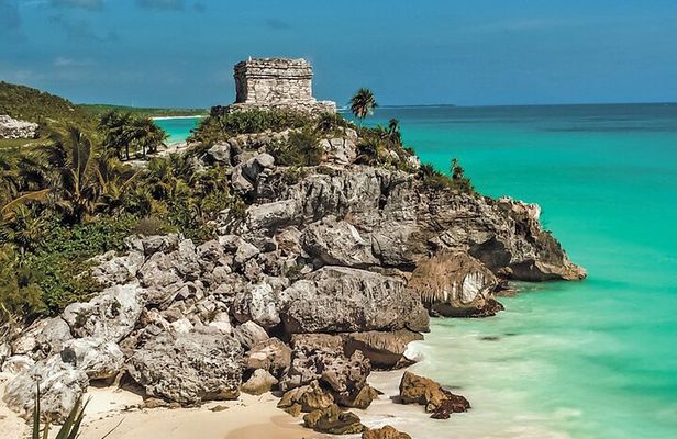Mother Nature, Tulum, Casa Tortuga Cenote and 5th av