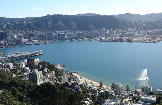 Discover Wellington 3 hour City Tour