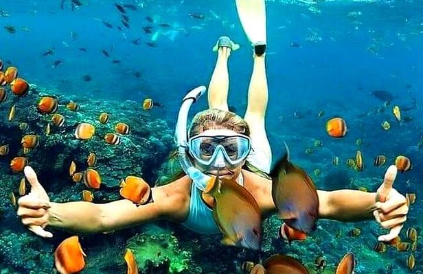 Amazing Snorkeling at Blue Lagoon