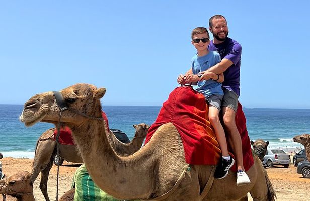 Luxury Malaga to Tangier Day Trip: Transfer, ferry, camel & Souks