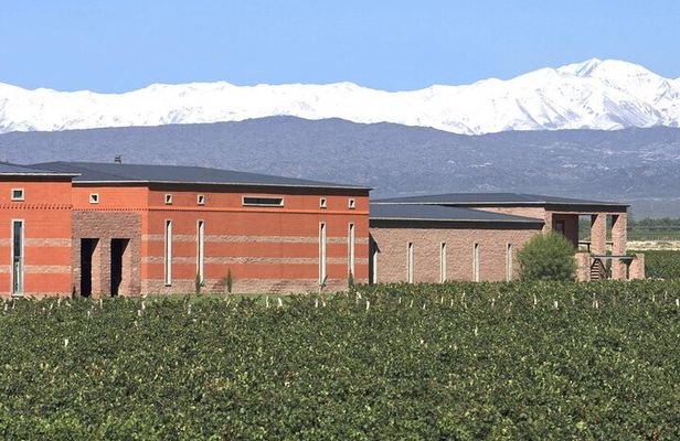 Private Luján de Cuyo Wine-Tasting Tour