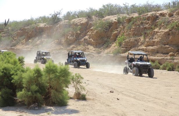 Combo Off Road 4x4 UTV Camel Ride Lunch and Tequila Tasting